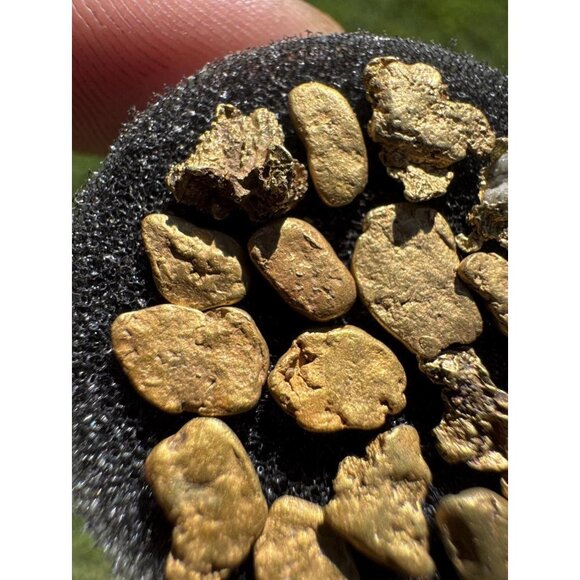 California Gold Nuggets Lot 5.45 grams - Picture 3 of 6